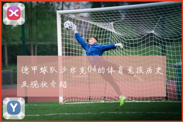 德甲球队沙尔克04的体育竞技历史及现状介绍