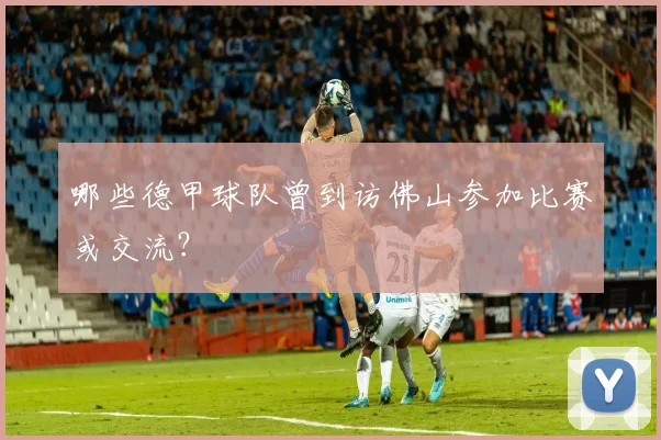 哪些德甲球队曾到访佛山参加比赛或交流？