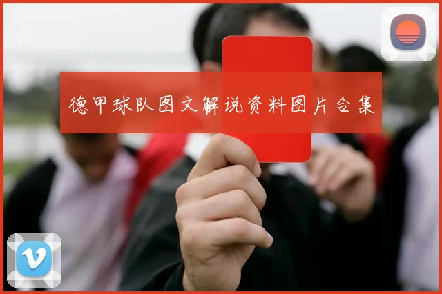 德甲球队图文解说资料图片合集