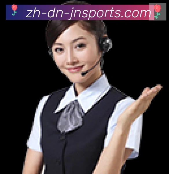 互动解说服务